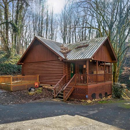 Bear Nakid Villa Pigeon Forge Bagian luar foto