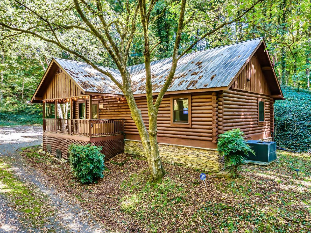 Bear Nakid Villa Pigeon Forge Bagian luar foto