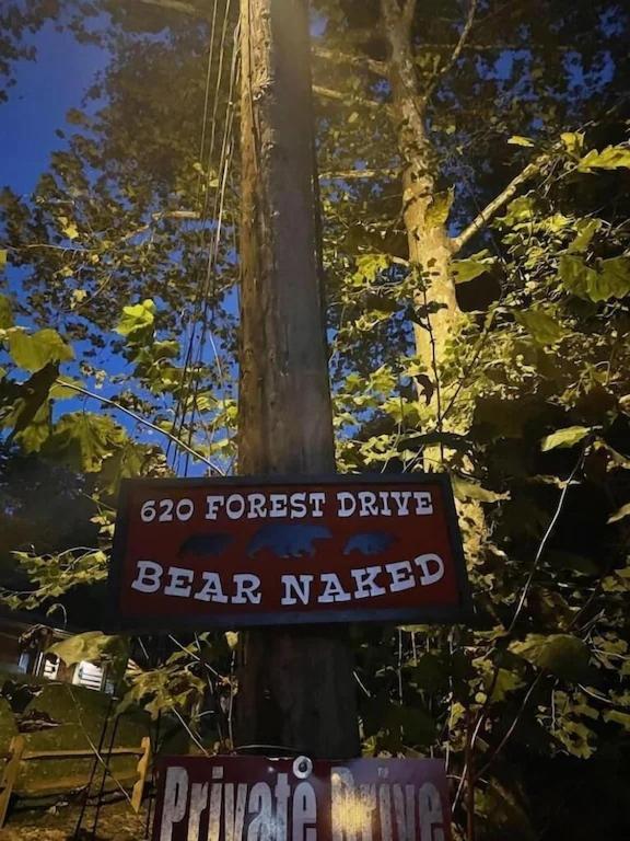 Bear Nakid Villa Pigeon Forge Bagian luar foto